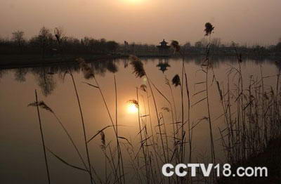 阜阳生态园风景图