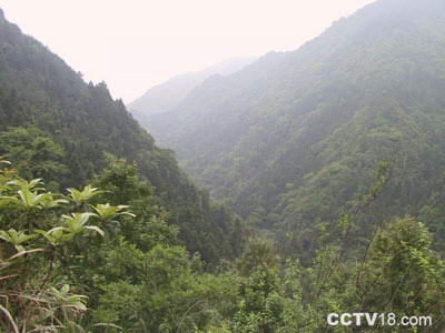 永泰青云山风景名胜区风景图