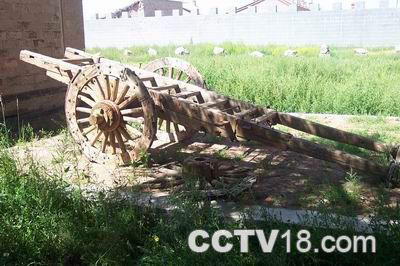 包头博物馆风景图