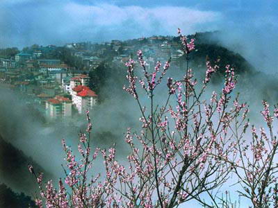 庐山东林大峡谷（剪刀峡）风景图