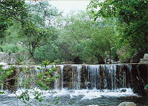 甘山森林公园风景图