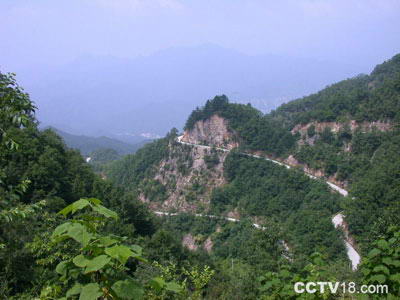 老界岭风景区风景图