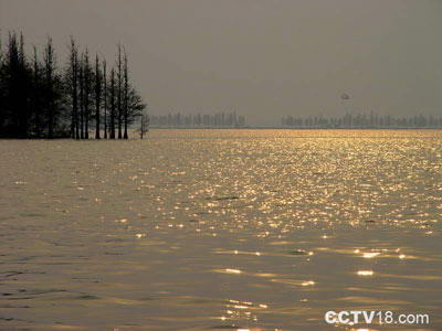 东湖风景图