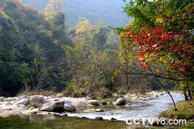 五龙河风景区风景图