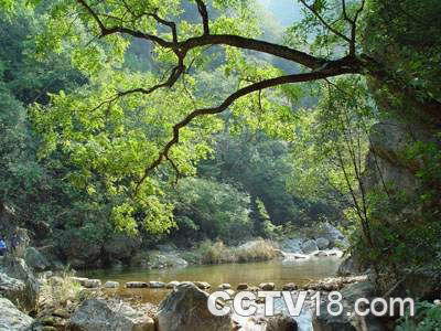 五龙河风景区风景图