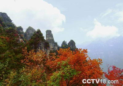 宜昌车溪民俗风景区风景图