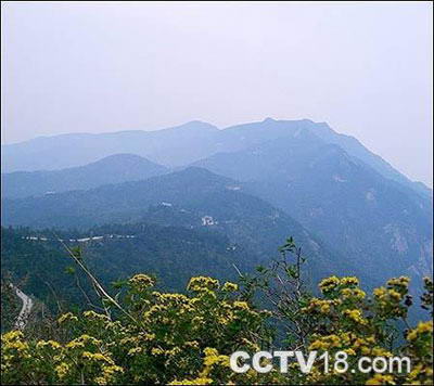 双峰山森林公园风景图