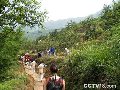 红石野谷——杨家岩景区风景图