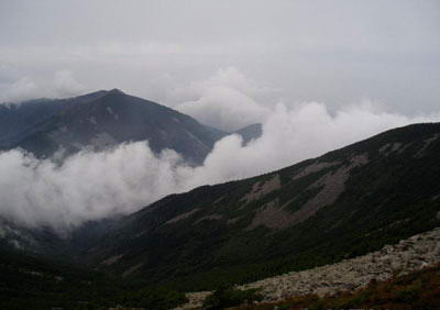 太白山国家森林公园风景图