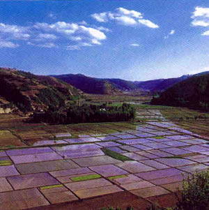 南泥湾革命旧址风景图