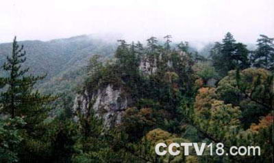 甘肃天水石门山风景图