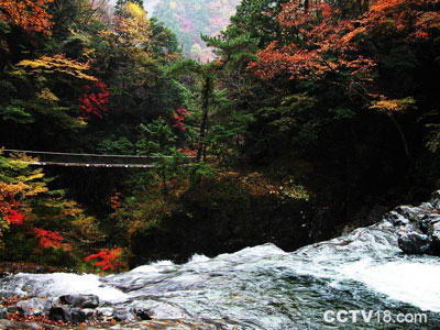 莲花山自然保护区风景图